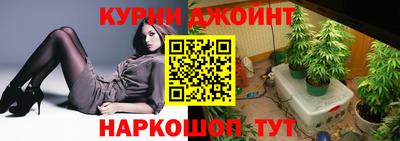 сатива Бийск