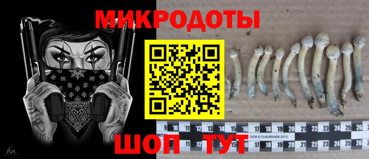 Знаменск  Галлюциногенные грибы прущие грибы  Вход с VPN 